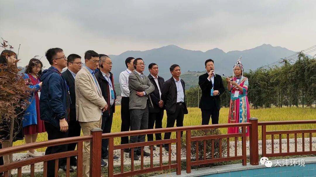 胜沣网络科技
